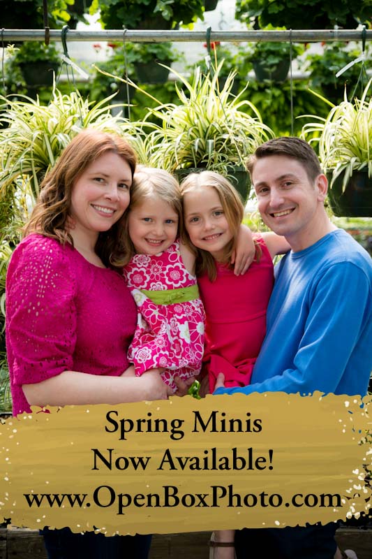 Family of 4 with the text "Spring Minis Now Available www.OpenBoxPhoto.com"